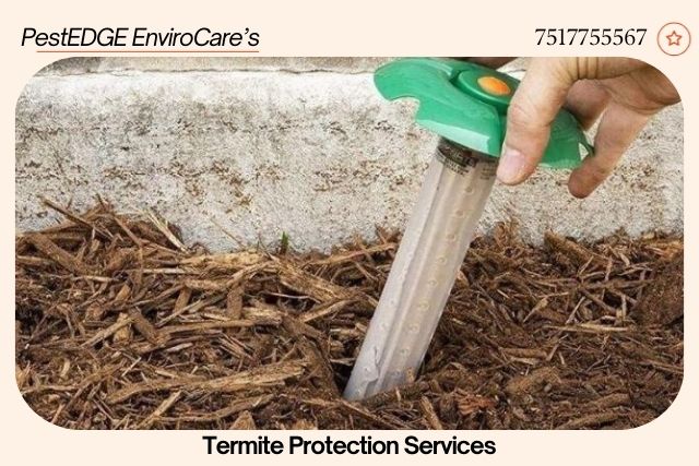 Termite Baiting_1