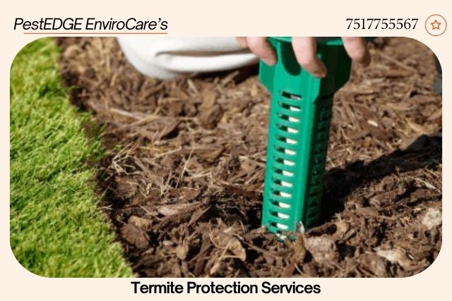 Termite Baiting_2